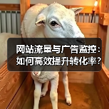 网站流量与广告监控:如何高效提升转化率?(图3) 网站流量与广告监控:如何高效提升转化率?(图3)