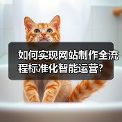 如何实现网站制作全流程标准化智能运营?(图2) 如何实现网站制作全流程标准化智能运营?(图2)