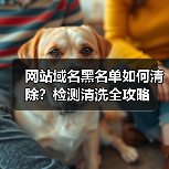 网站域名黑名单如何清除?检测清洗全攻略(图3) 网站域名黑名单如何清除?检测清洗全攻略(图3)