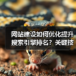 网站建设如何优化提升搜索引擎排名?关键技巧解析(图4) 网站建设如何优化提升搜索引擎排名?关键技巧解析(图4)