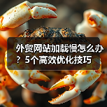 外贸网站加载慢怎么办?5个高效优化技巧(图3) 外贸网站加载慢怎么办?5个高效优化技巧(图3)
