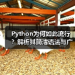 Python为何如此流行?解析其简洁语法与广泛应用场景(图3) Python为何如此流行?解析其简洁语法与广泛应用场景(图3)