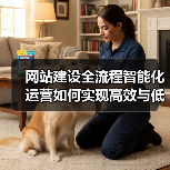 网站建设全流程智能化运营如何实现高效与低成本?(图1) 网站建设全流程智能化运营如何实现高效与低成本?(图1)