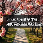 Linux top命令详解:如何高效监控系统性能(图4) Linux top命令详解:如何高效监控系统性能(图4)