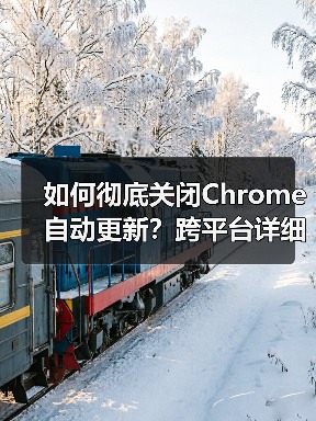 如何彻底关闭Chrome自动更新?跨平台详细教程(图2) 如何彻底关闭Chrome自动更新?跨平台详细教程(图2)