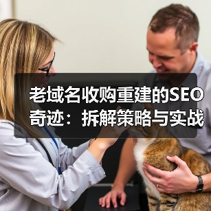 老域名收购重建的SEO奇迹:拆解策略与实战案例全解析(图2) 老域名收购重建的SEO奇迹:拆解策略与实战案例全解析(图2)