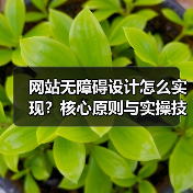 网站无障碍设计怎么实现?核心原则与实操技巧全解析(图1) 网站无障碍设计怎么实现?核心原则与实操技巧全解析(图1)
