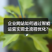 企业网站如何通过智能运营实现全流程优化?(图4) 企业网站如何通过智能运营实现全流程优化?(图4)