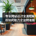 专业网站设计全流程解析如何助力企业精准推广?(图4) 专业网站设计全流程解析如何助力企业精准推广?(图4)