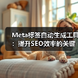 Meta标签自动生成工具:提升SEO效率的关键(图1) Meta标签自动生成工具:提升SEO效率的关键(图1)