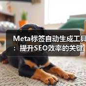Meta标签自动生成工具:提升SEO效率的关键(图4) Meta标签自动生成工具:提升SEO效率的关键(图4)