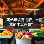 网站建设完成后,维护真的不需要吗?(图4) 网站建设完成后,维护真的不需要吗?(图4)