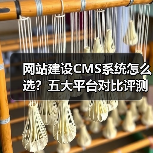 网站建设CMS系统怎么选?五大平台对比评测(图3) 网站建设CMS系统怎么选?五大平台对比评测(图3)