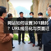 网站如何设置301跳转?URL规范化与页面迁移完整教程(图2) 网站如何设置301跳转?URL规范化与页面迁移完整教程(图2)