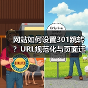 网站如何设置301跳转?URL规范化与页面迁移完整教程(图3) 网站如何设置301跳转?URL规范化与页面迁移完整教程(图3)
