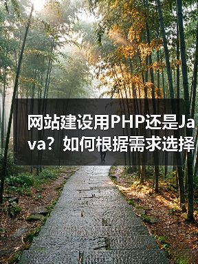 网站建设用PHP还是Java?如何根据需求选择语言(图4) 网站建设用PHP还是Java?如何根据需求选择语言(图4)