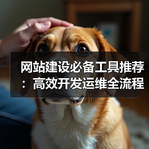 网站建设必备工具推荐:高效开发运维全流程指南(图4) 网站建设必备工具推荐:高效开发运维全流程指南(图4)