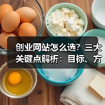 创业网站怎么选?三大关键点解析:目标、方式与技术选择(图4) 创业网站怎么选?三大关键点解析:目标、方式与技术选择(图4)