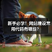 新手必学!网站建设常用代码有哪些?(图2) 新手必学!网站建设常用代码有哪些?(图2)