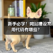 新手必学!网站建设常用代码有哪些?(图3) 新手必学!网站建设常用代码有哪些?(图3)