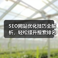 SEO网站优化技巧全解析,轻松提升搜索排名(图4) SEO网站优化技巧全解析,轻松提升搜索排名(图4)