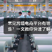 常见跨境电商平台有哪些?一文教你快速了解(图3) 常见跨境电商平台有哪些?一文教你快速了解(图3)