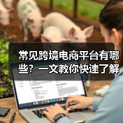 常见跨境电商平台有哪些?一文教你快速了解(图4) 常见跨境电商平台有哪些?一文教你快速了解(图4)