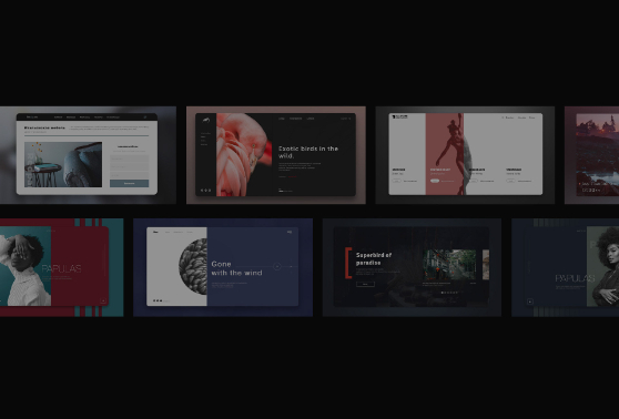 精美网站设计，激发你的灵感(图2)