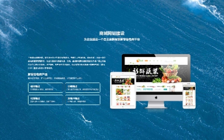 逐梦网络工作室产品中心 - 网站建设与SEO优化推广方案展示(图3)