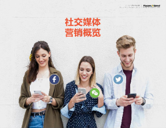 逐梦网络工作室的服务项目解析——从网站建设到新媒体运营(图2)