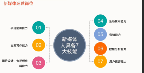 逐梦网络工作室的服务项目解析——从网站建设到新媒体运营(图3)