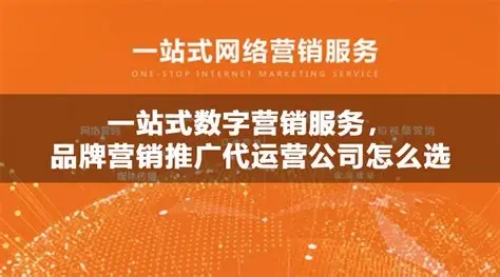 2025年一站式网络营销服务评测：如何解决“搜不到”的痛点？(图1)